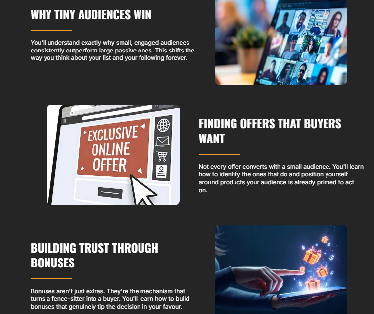 Tiny Audiences Income System Review 2026