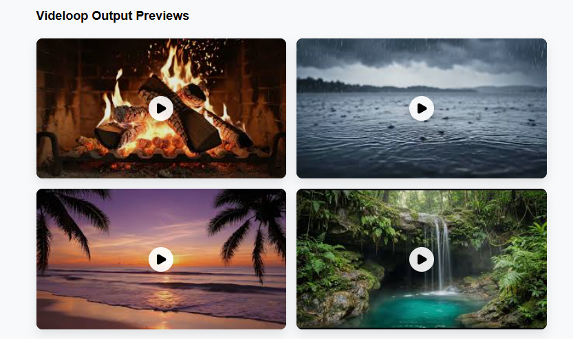 Videloop Starter Review 2026